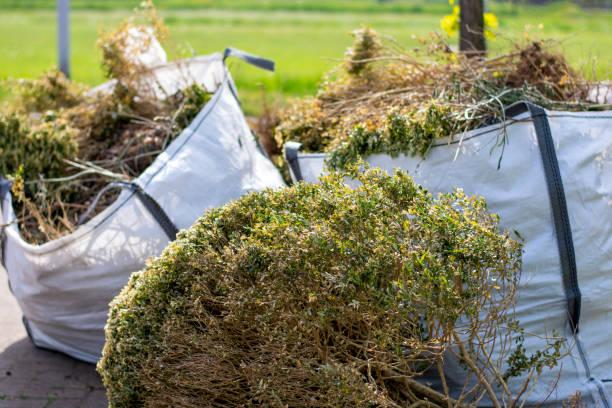 Best Carpet Removal and Disposal  in Broadway, VA